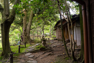 Zen & Clay: A Quiet Moment of Creation in Kanazawa